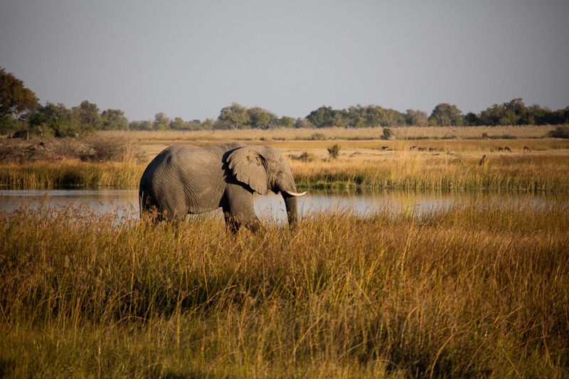 Travel photography by Beachhead Studios