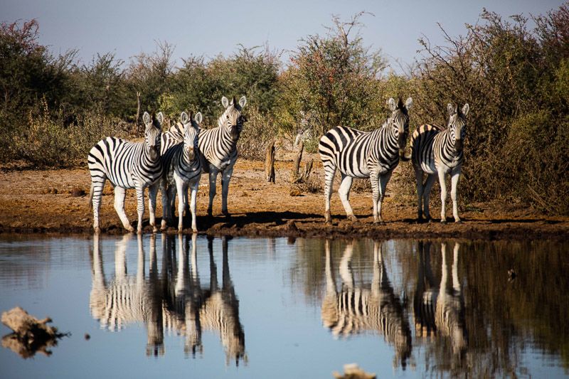 Travel photography by Beachhead Studios