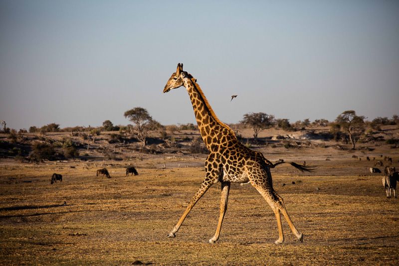 Travel photography by Beachhead Studios